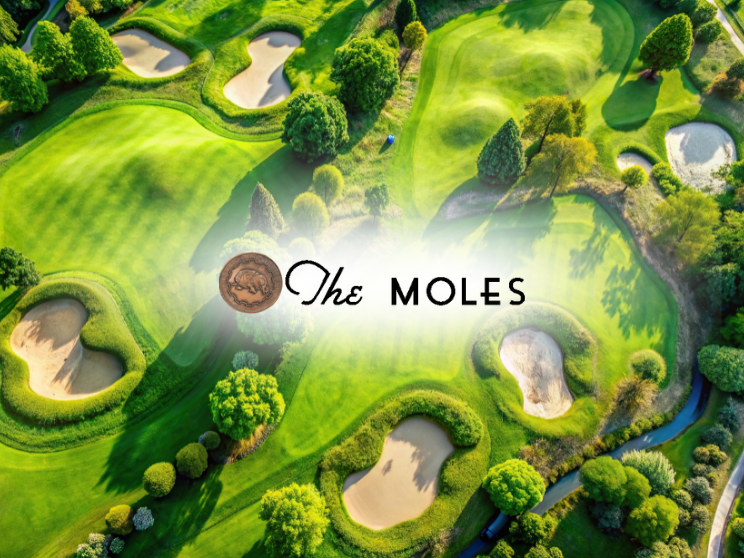 Aerial view of The Moles golf course.