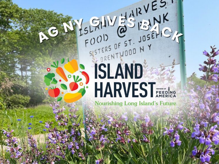 Island Harvest sign with purple flowers.