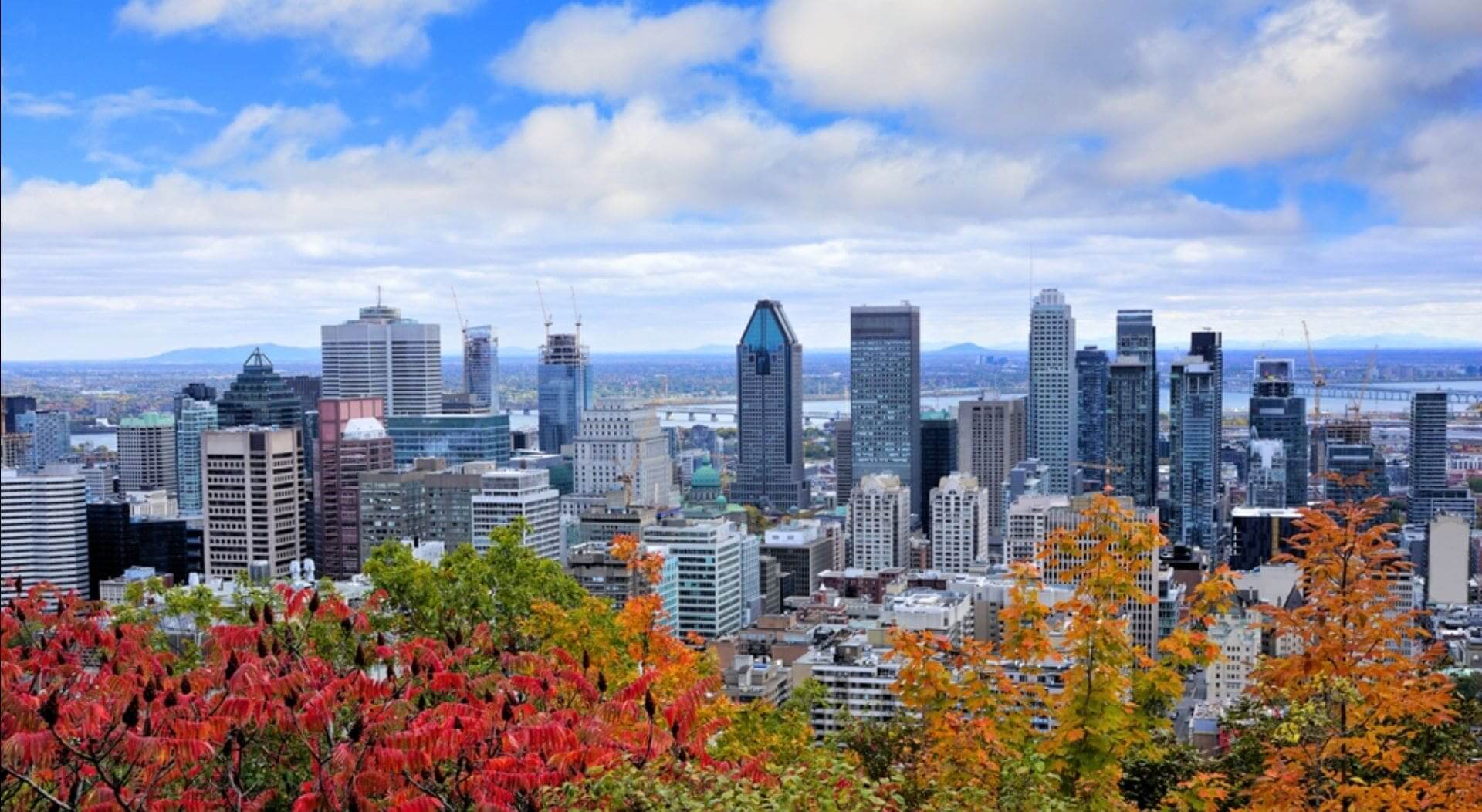 69d0237734192_shutterstock_2501915547 (1)