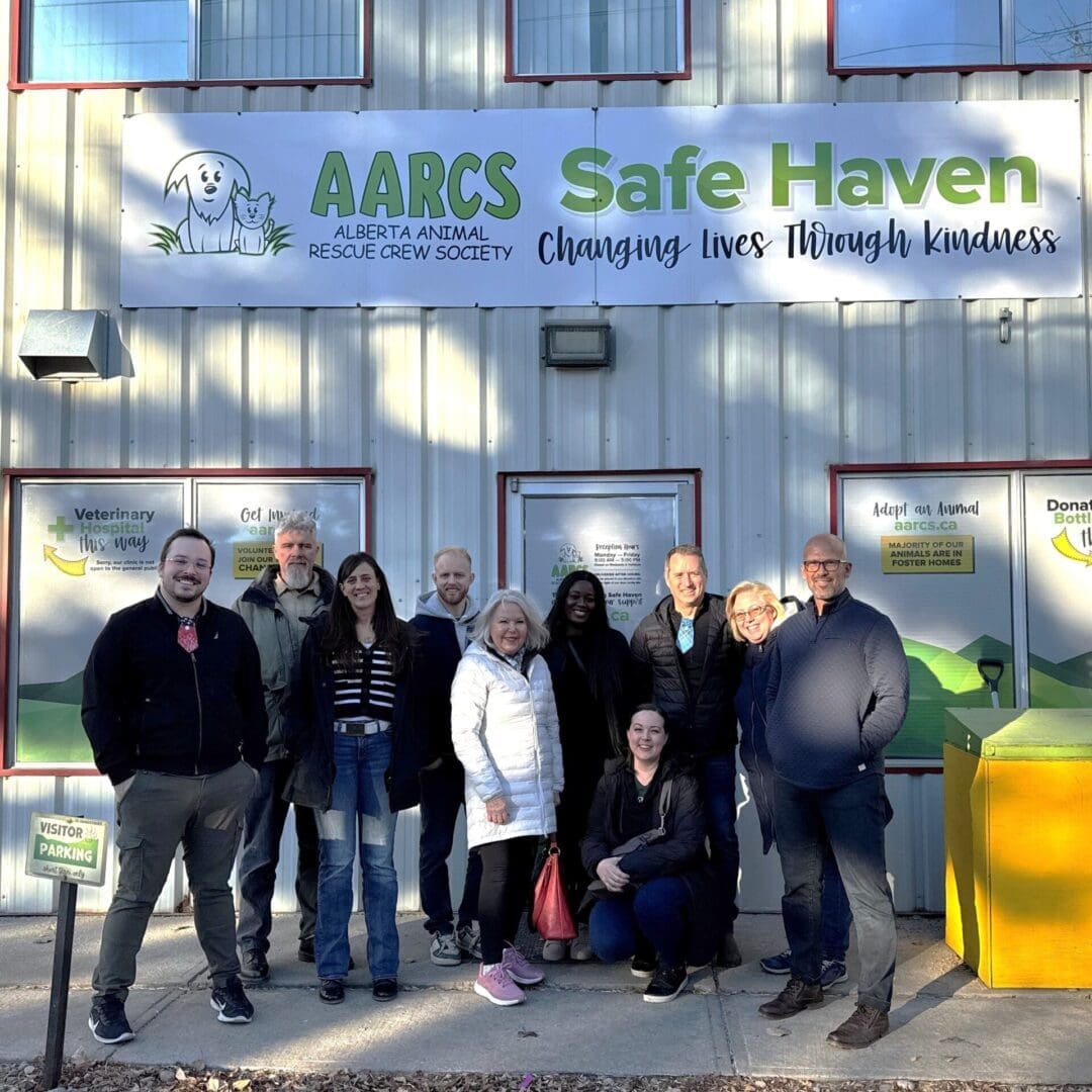 AARCS Safe Haven (002)