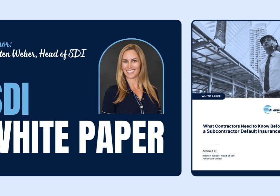 SDI White Paper